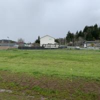 View of vacant city lot