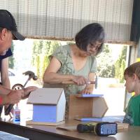 Building Bird Houses