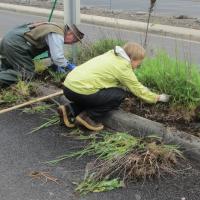 Volunteers working hard